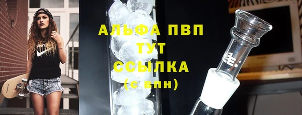 PSILOCYBIN Снежинск