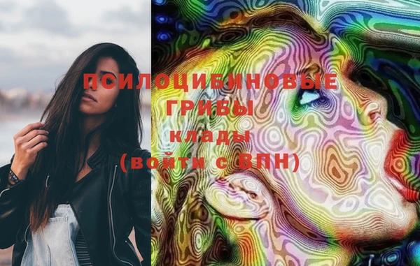 PSILOCYBIN Снежинск